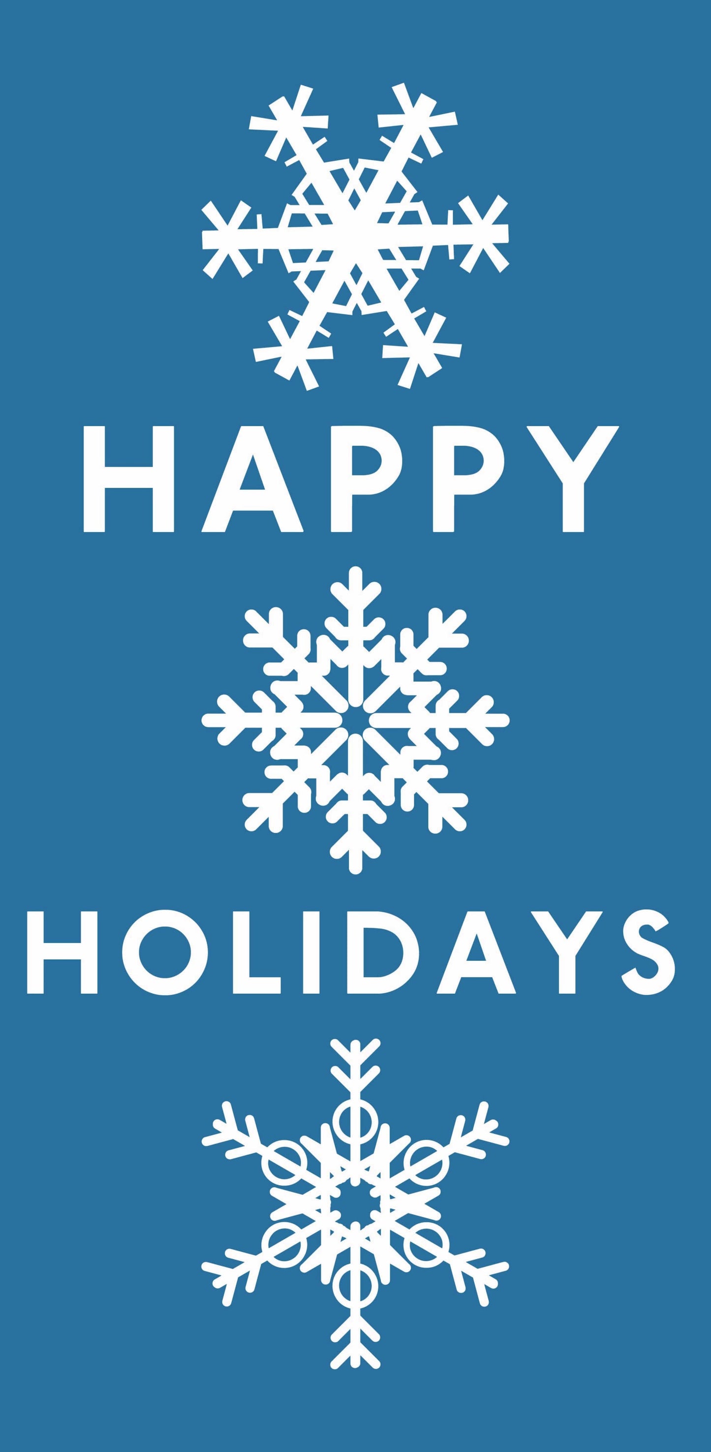 Happy Little Snowflakes Single Vinyl Banner