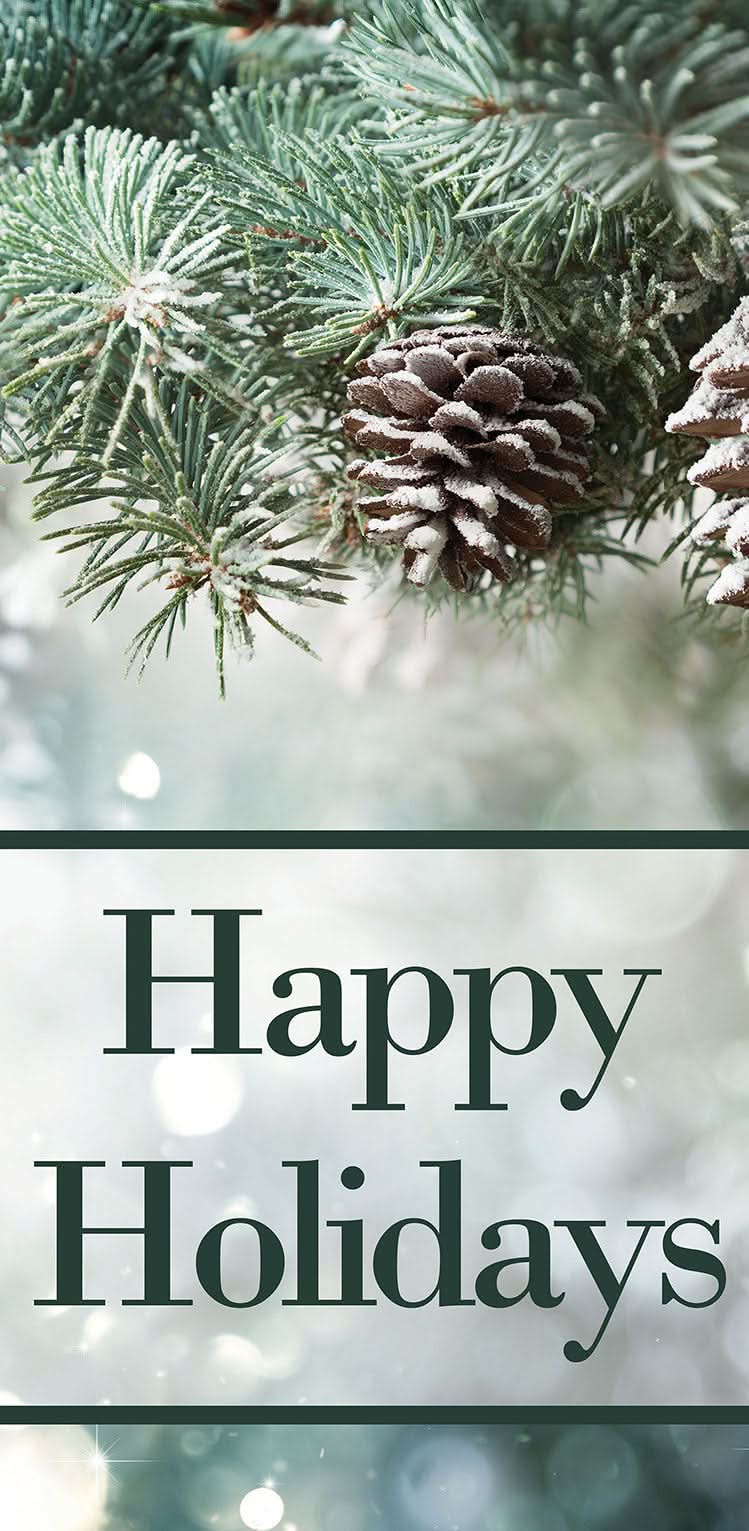 Holiday Evergreen Single Vinyl Banner
