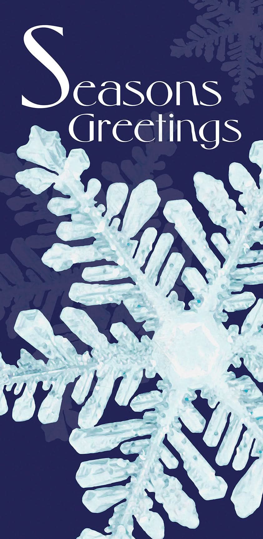 Icy Winter Blue Single Vinyl Banner