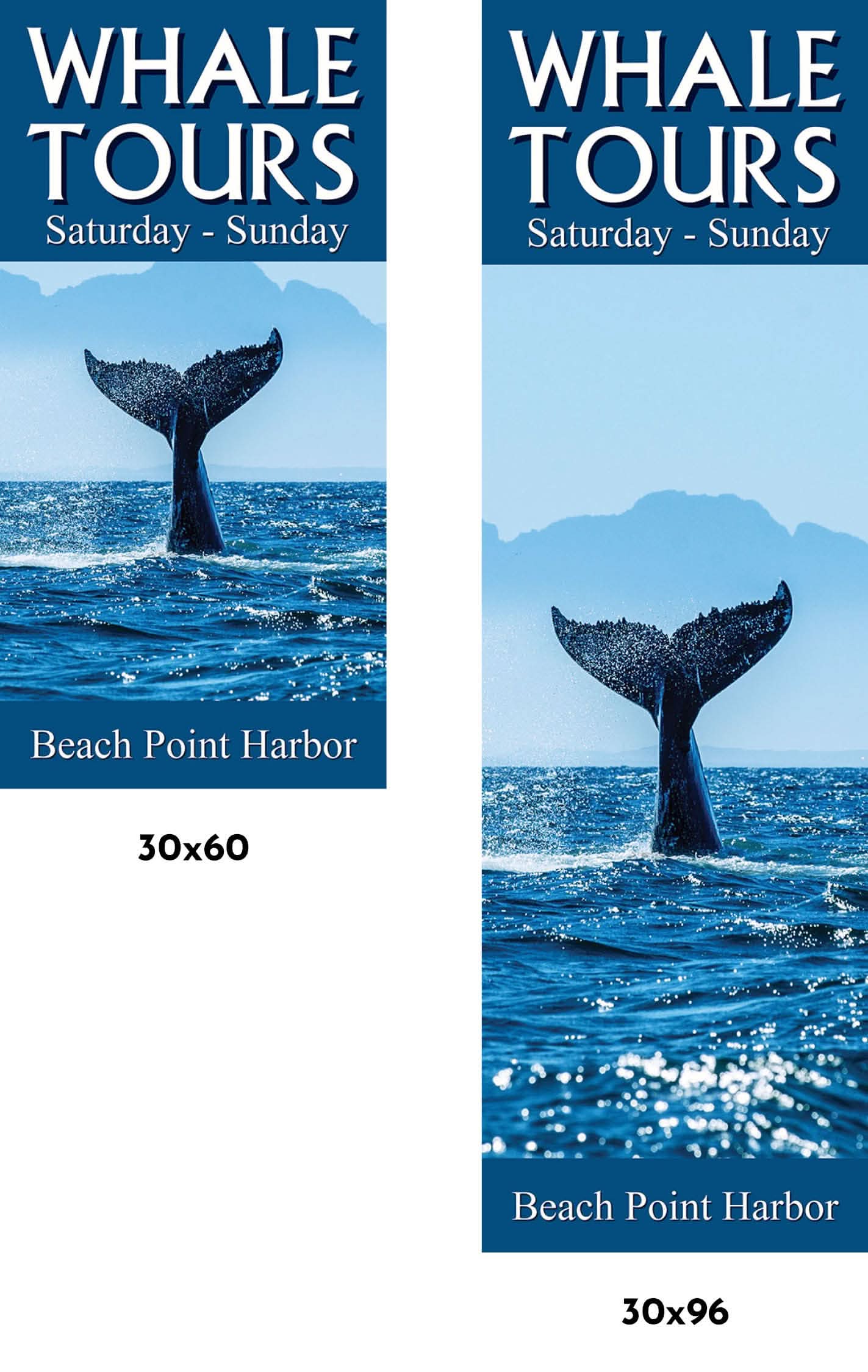 Whale Tours Single Vinyl Banner