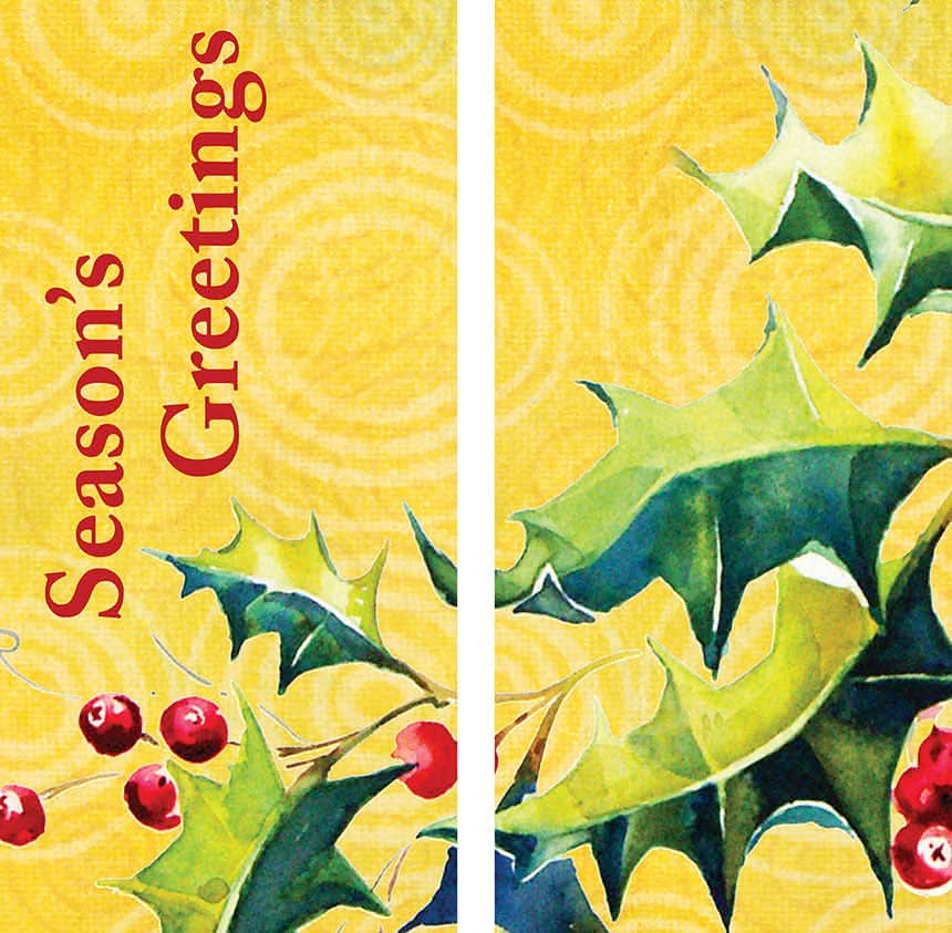 Festive Holly Berries Double Vinyl Banner Set
