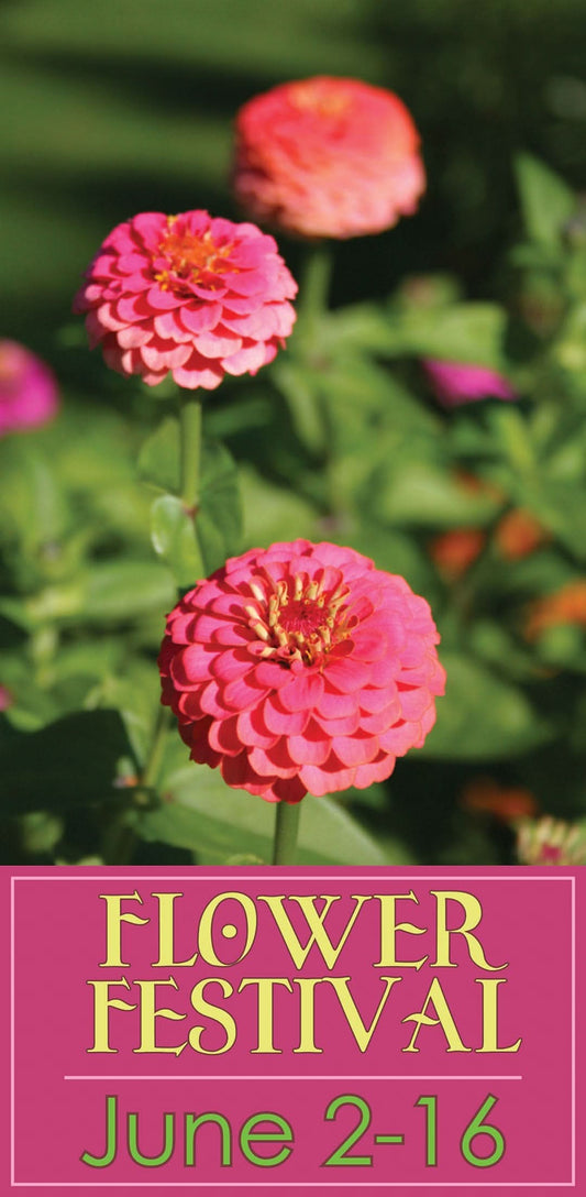 Flower Festival Single Vinyl Banner
